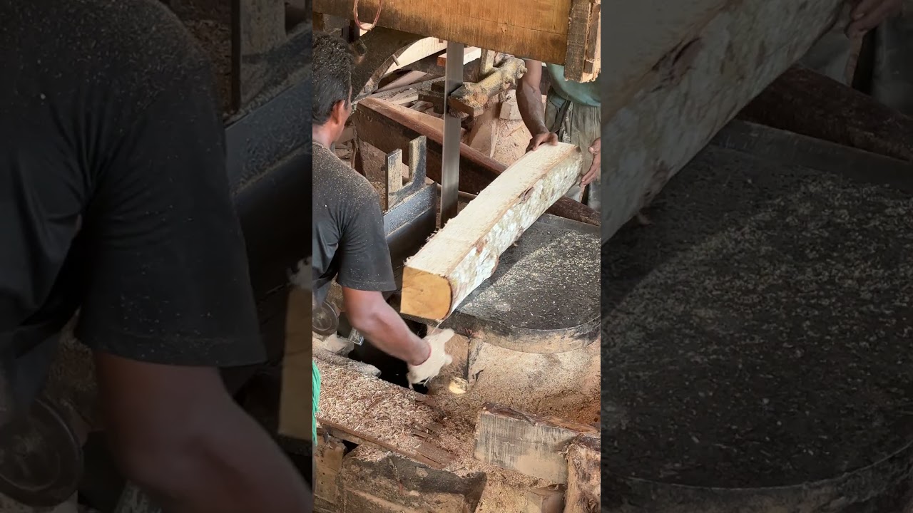 Learn Sawmill Precision A Day in the Life of an Expert Operator