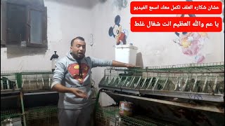 تربيتك للارنب غلط وتيجي تقول لي انا باخسر يا عم افهم عشان شيكاره العلف تسترك وتكمل معك