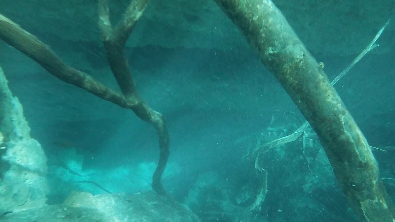 freediving the first swimthrough at orange grove sink