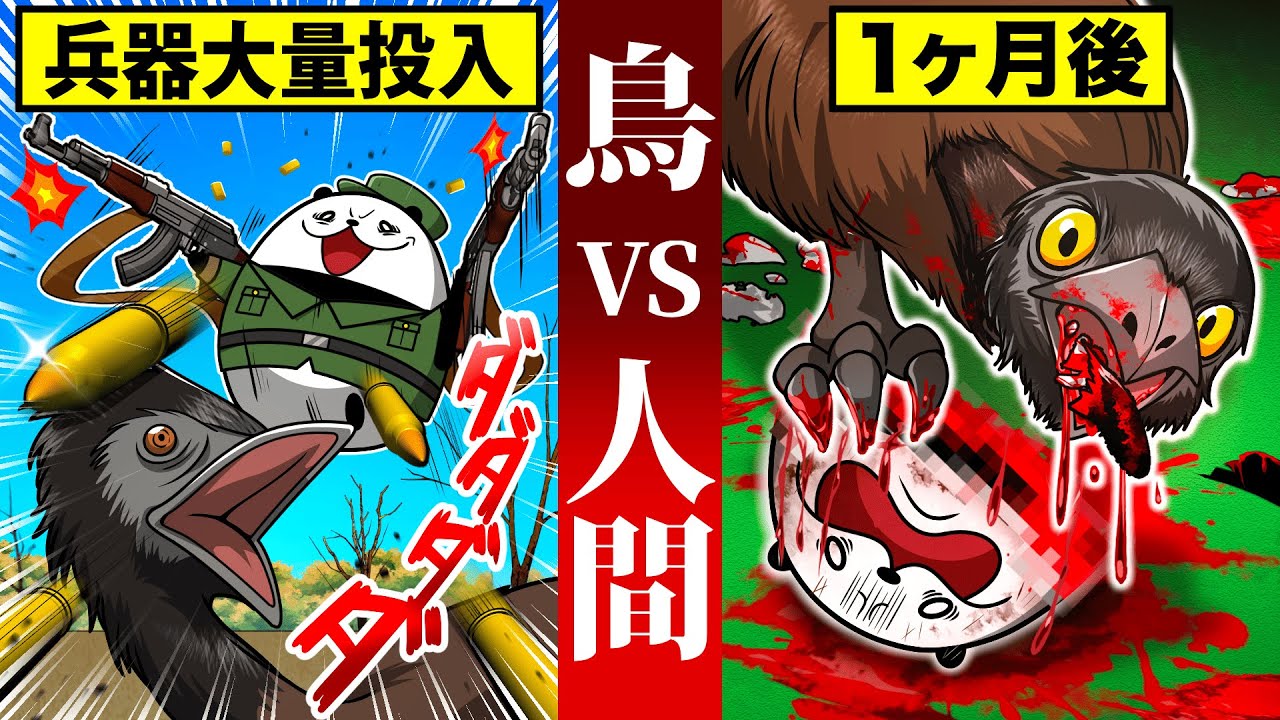 【実話】人類唯一の敗北!鳥と人類による壮絶な戦争の結末とは!?【アニメ】