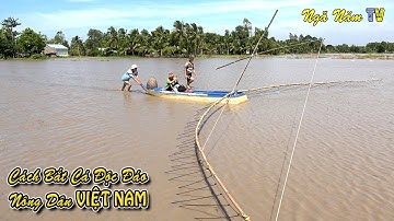 Canh Nước Rút Đẩy Côn Bắt Cá Mùa Nước Nổi Miền Tây Cá Lóc, Cá Rô, Cá Phi Thấy Ham/Fishing/NGÃ NĂM TV