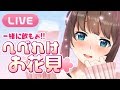 【お花見LIVE】へべれけ....🌸お酒配信しちゃいます🍷
