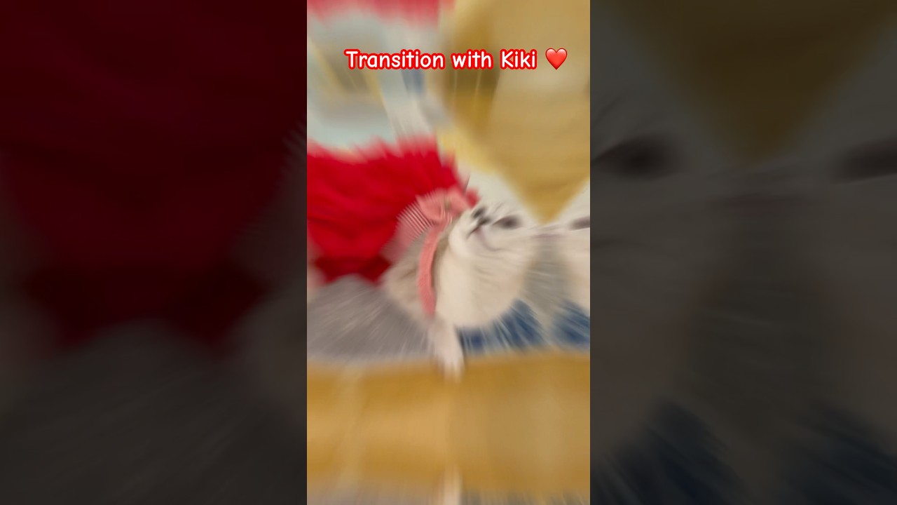 Transition with Kiki 😍