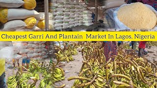 The Biggest And Cheapest GARRI  And PLANTAIN Market In Lagos, NIGERIA 🇳🇬