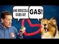 And Broccoli gives us?  "GAS!" 🥦💨🐶 Cricket "the talking dogs" Chronicles (Biscuit Talky Shorts)