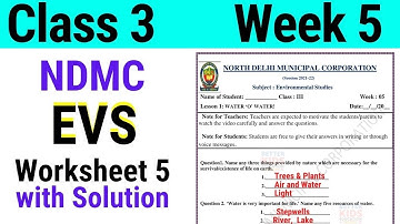 NDMC Class 3 EVS Week 5 Worksheet 5 (30/06/2021) || worksheet 5 Class 3rd evs