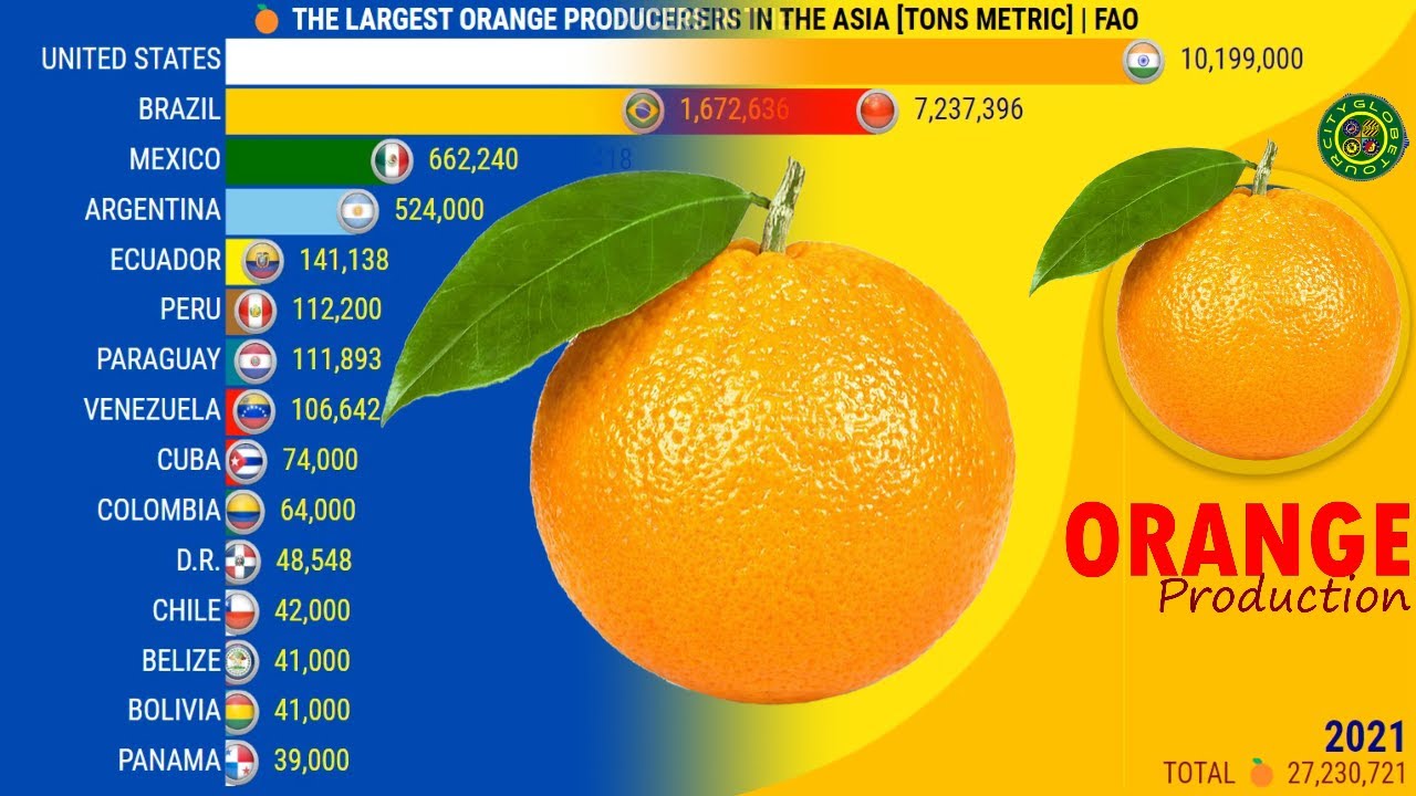 THE LARGEST ORANGE PRODUCERS IN THE WORLD, EUROPE, ASIA, AMERICA'S