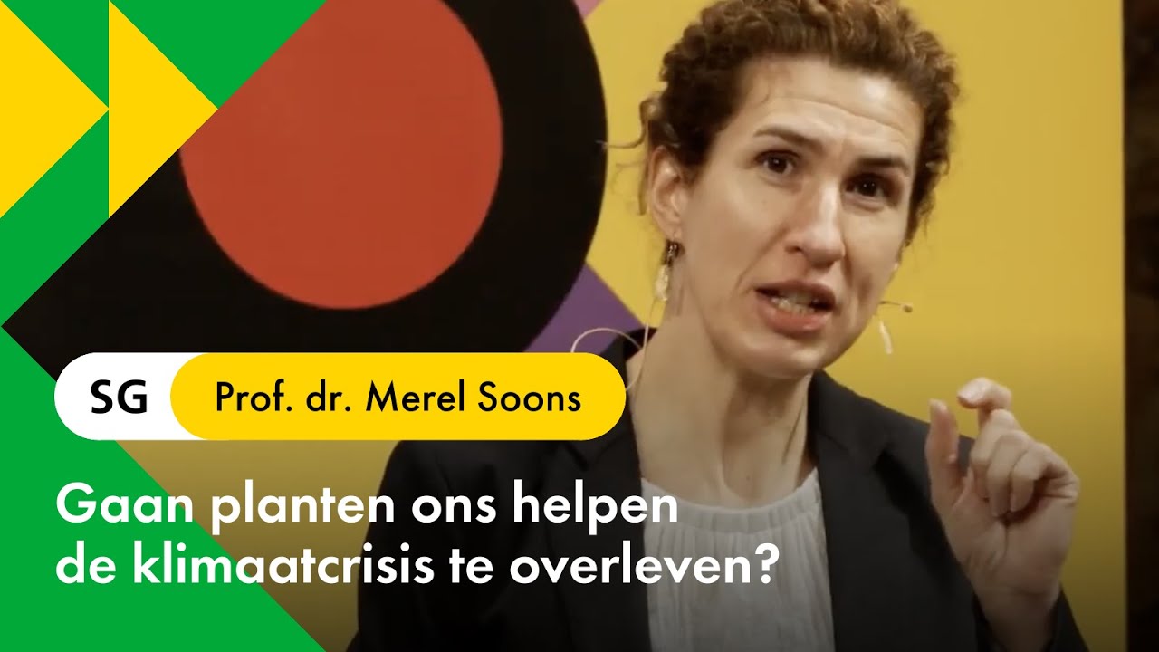 Gaan planten ons helpen de klimaatcrisis te overleven?