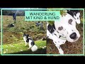 Wird abby langsam taub  schsische schweiz mit kind  hund