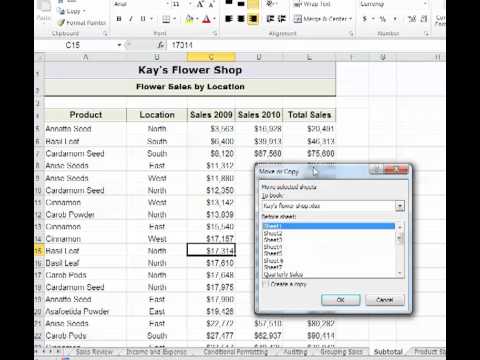 Excel - Copy a Worksheet to another Workbook - YouTube