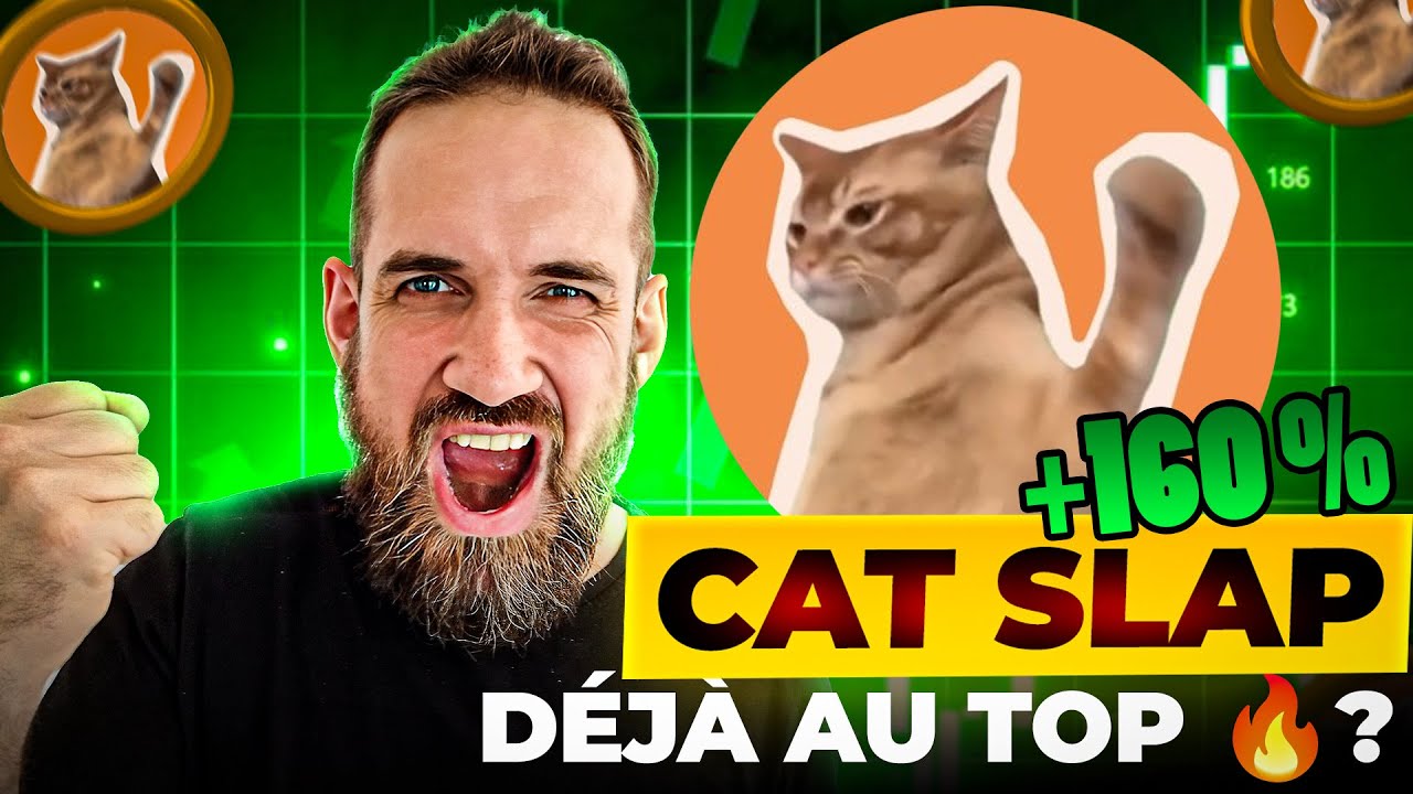 🚨+165% en 3 jours SUR CE MEMECOIN ! [X100 à ce BULLRUN ?]