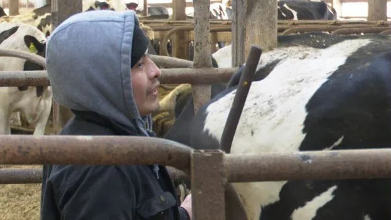 Trump reportedly open to changing farm worker visa rules