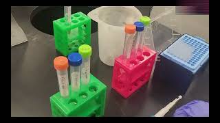 Lab 8 Protocol: Gene Expression: The Lac Operon