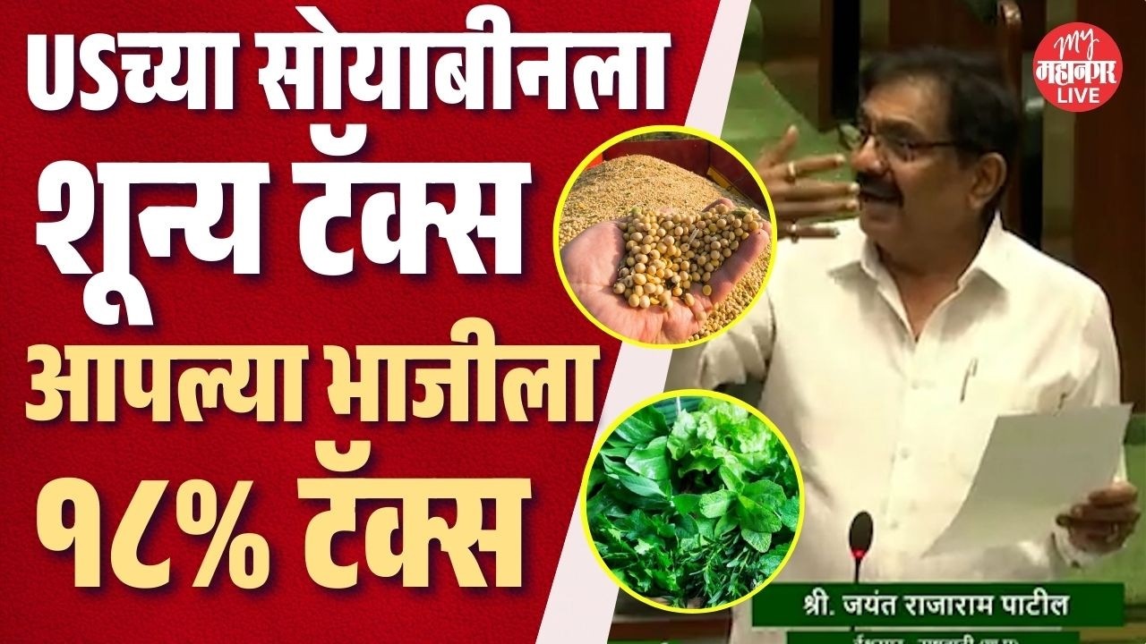 अमेरिकेच्या सोयाबीनला शून्य टॅक्स, आपल्या भाजीला १८ टक्के टॅक्स; भारत-US स्पर्धा कशी होणार ?