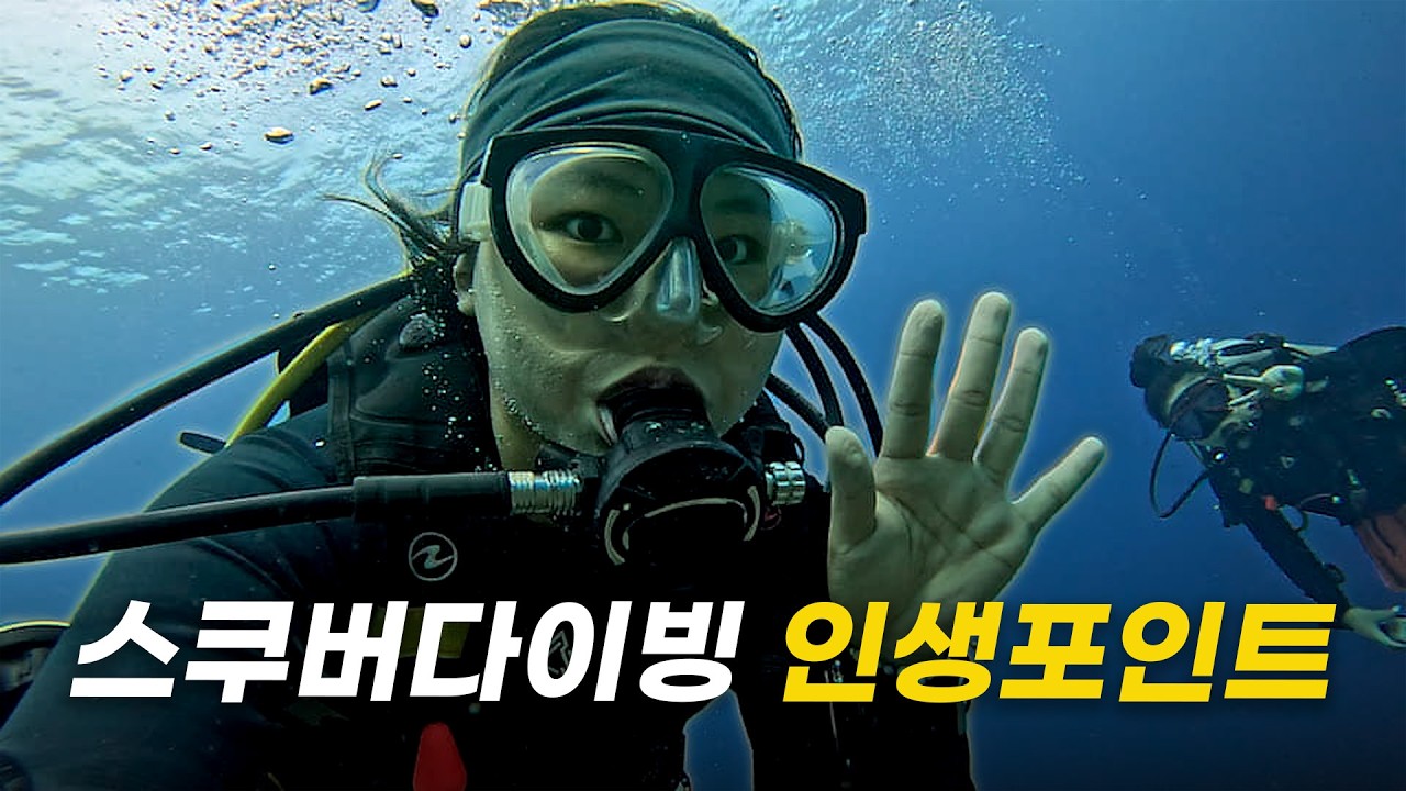 두마게티에서 다이빙 자격증을 땄습니다🪸다이버의 고향? 인생 포인트 대발견