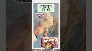 懸疑反轉+百合！爺爺托夢，讓我們送奶奶下去陪他！！完結嚕。#小說 #聽書 #懸疑  #有聲書 #故事頻道