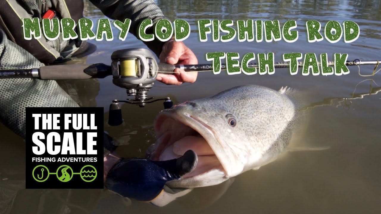 Best beginners baitcaster for murray cod, Gear Review 