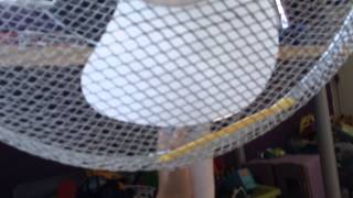 Connect it 16 inch pedestal fan update