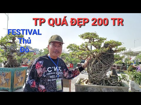Video CHÚ HÒA Taxi CS & BÁO GIÁ 1 số tp tại FESTIVAL cây... - youtube