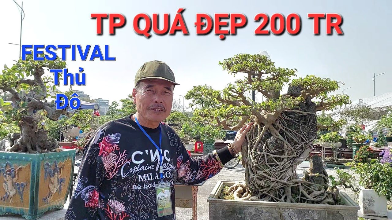 CHÚ HÒA Taxi CS & BÁO GIÁ 1 số tp tại FESTIVAL cây cảnh Thủ Đô 2022 .