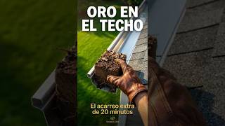 ¡El Dinero en el Techo!