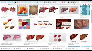Health and Physical Education  12 Lecture  17