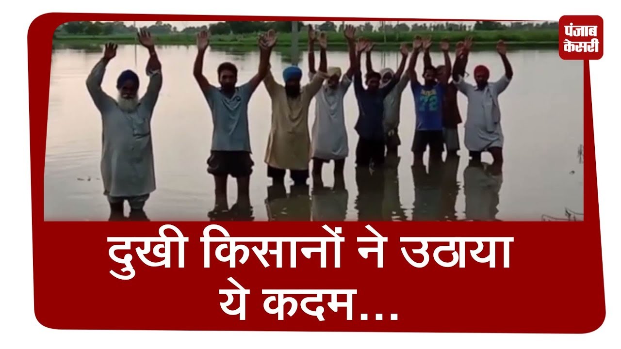 hindi news channel live किसानों की मेहनत पर फिरा पानी,सरकार से दुखी किसानों ने उठाया ये कदम