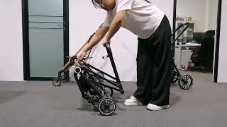 Differnt Pet Stroller Manual Method Design 1