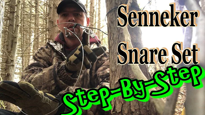 Setting a Senneker Snare for Coyote