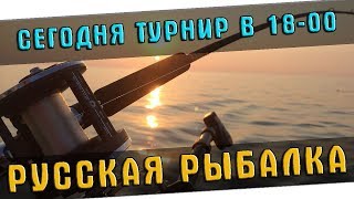 РУССКАЯ РЫБАЛКА 4 🐟 ВОСКРЕСНЫЙ ТУРНИР \