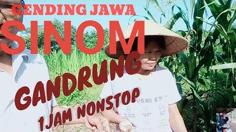 GENDING JAWA - SINOM GANDRUNG 1JAM NONSTOP - GENDING NYAMLENG - NENTREMKE ATI LAN PIKIR