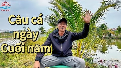Câu cá tự nhiên ngày cuối năm  Chúc mừng năm mới cả nhà mình!| Phú Hải Fishing