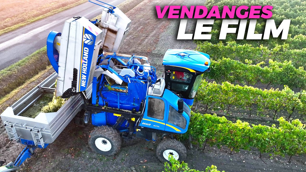 VENDANGES 2022 en région COGNAC - LE FILM