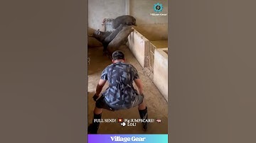 MAN JUMPS INTO PIG PEN! 🤯 Wildest Farm Moment EVER?! #fail #funny #pigs #viral #shocking
