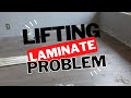 LIFTING LAMINATE FLOORING, LAMINATE EXPANSION PROBLEM, BUCKLING WOOD FLOORING