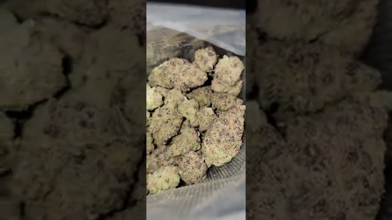 keeper ( pheno #6 )  from the blockberry  pheno hunt