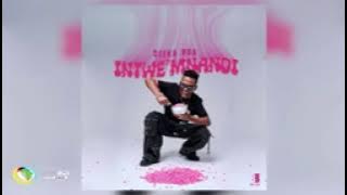 Ceeka RSA & Tyler icu - iY' Ndaba Zayizolo[ official Audio] Feat Leemckrazy