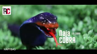 RC Snake Naja Cobra Viper Infrared Remote Control Toy
