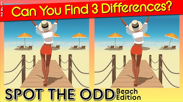 Brain break - Beach | Game 162 | find 3 differences | Fall | How good are your eyes ? Quiz 犬    子犬