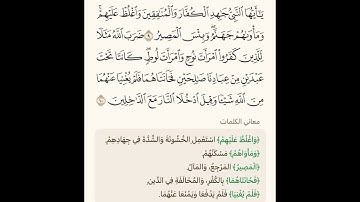 آيات في دقيقة واحدة من سورة التحريم 6 تلاوة الشيخ سعد الغامدي