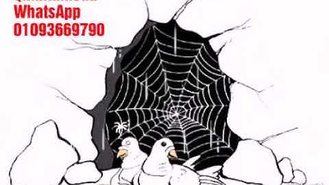 ❤إِلَّا تَنصُرُوهُ فَقَدْ نَصَرَهُ اللَّهُ .. حالات واتس 2018 بصوت القارئ مصطفي حموده ❤