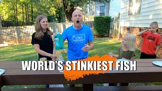 World&#39;s Stinkiest Fish Challenge: Eating Oskars Surstromming; tntsmithadventures