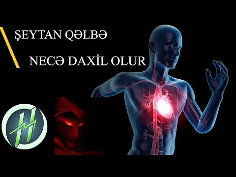 Video: Cinsi meditasiya necə edilir: 10 addım (şəkillərlə)