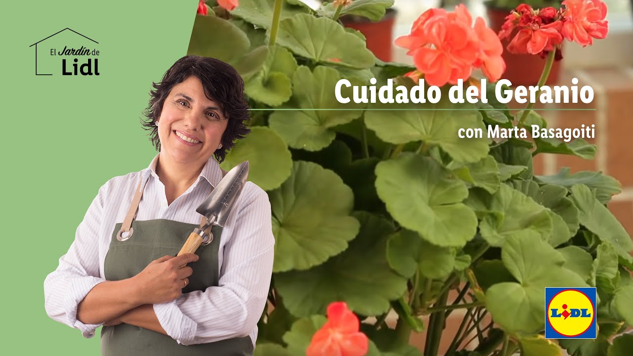 Cuidado Del Geranio 💐🍃| El Jardín De Lidl | Lidl España