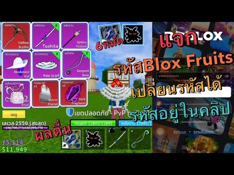 แจกรหัส Blox Fruits มีผลมืดตื่นมีเคียวดาบทูซิตะ6หมัดกระจกเวลMaxรหัสอยู่ในคลิป-SURIYA CH