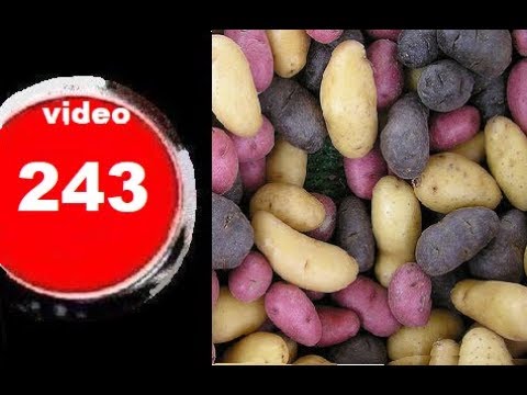 Video: Errores Al Almacenar Patatas