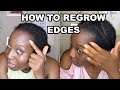 How To Regrow Your Edges