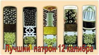 Лучший  патрон 12 калибра. Способ опытных охотников