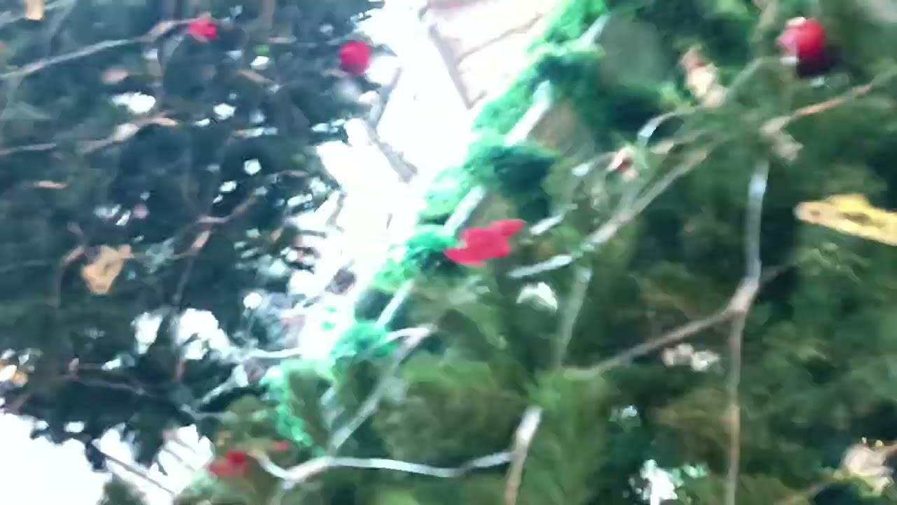 Study job training 11