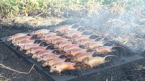 Đặc sản thịt chuột Cổ Dũng